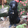 Quaste von Felsfeld�i���v���~��������L�^���`�F�؉���R�j