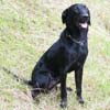 (Richfield) Jasper�i���v���~��������L�^���`�F�؉���R�j