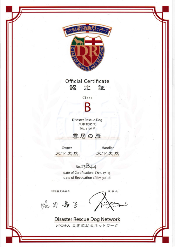 Official Certificate �F���
Class B
Disaster Rescue Dog �ЊQ�~����
Feb. 2 '06 �� �_���̊�
Owner �؉� ��R
Handler �؉� ��R
No.13B44
date of Certification:Oct. 27 '13
date of Revocation:Nov. 30 '16
�F��R���ψ��� �x�� ��q
������ Nishizaka Naoki
Disaster Rescue Dog Network
NPO�@�l�ЊQ�~�����l�b�g���[�N