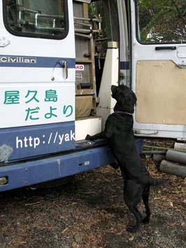 �w���p�[��{���o���Ėi���郋�r�[